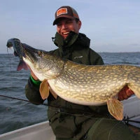 Westin Mike The Pike Crankbaits 14cm/30g